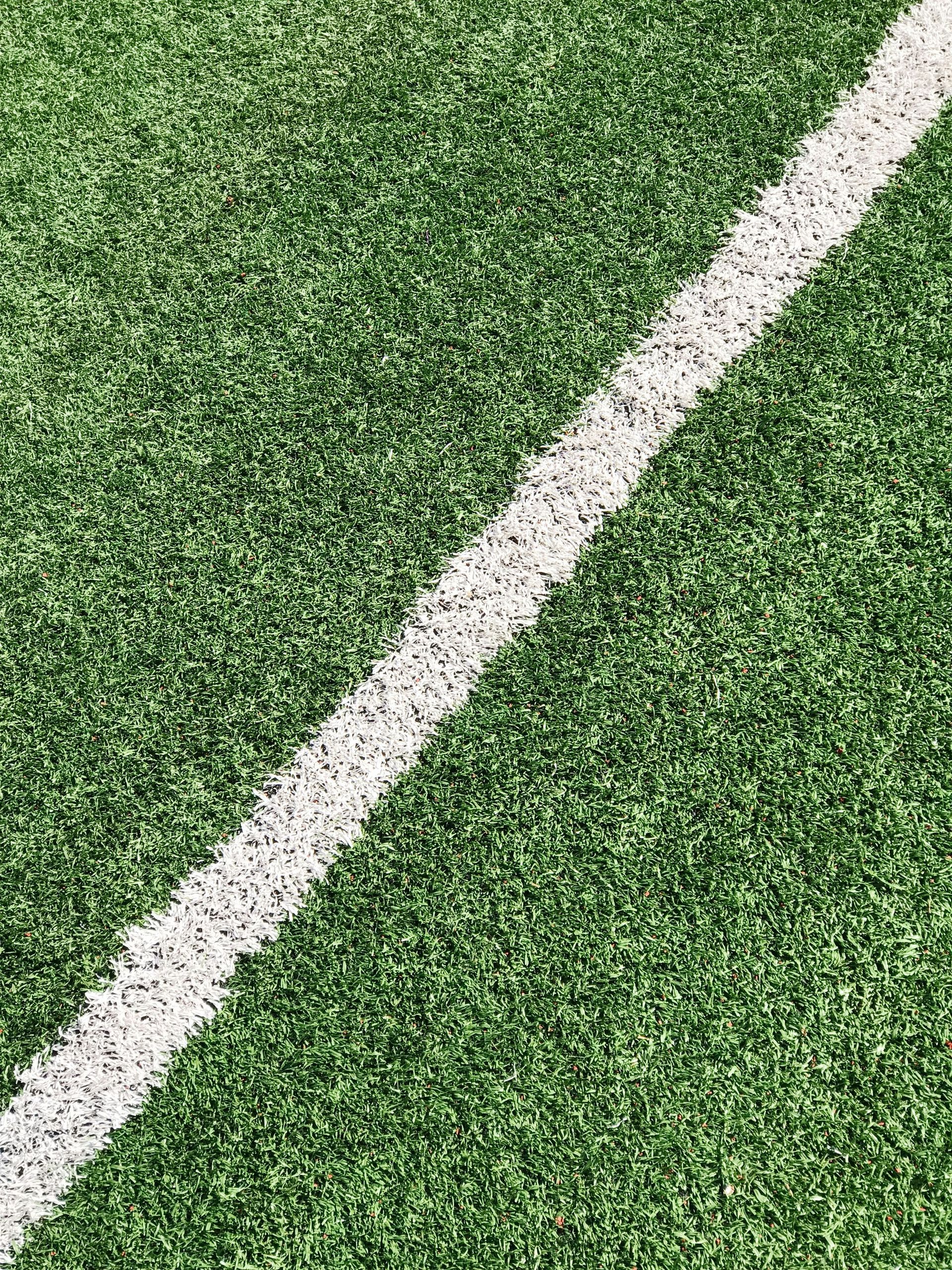 green grass field